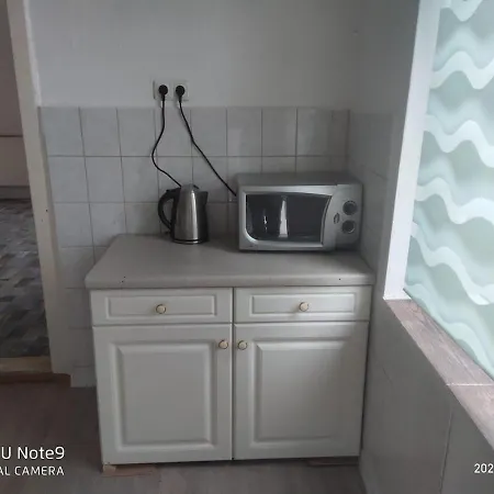 Apartment Mit Garten In Zentrum Schwerins *