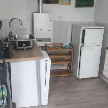 Apartment Mit Garten In Zentrum Schwerins *